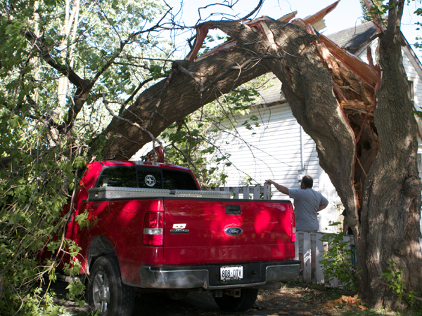 SNAPSHOT - Wind strom wreaks havoc on trees, property