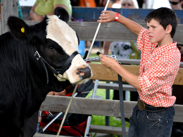 SNAPSHOT - Great weather, turnout for 154th Annual Comber Fair