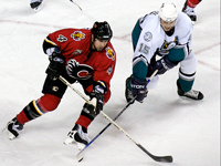 Will the Anaheim Ducks win the Stanley Cup next season?