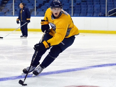 Buffalo Sabres Training Camp Questions