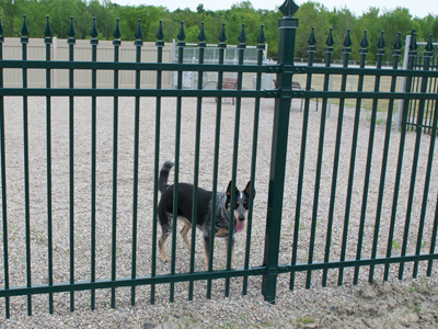 Fence Depot has opened K-9 Courtyard Cornwall Off-Leash Dog Park