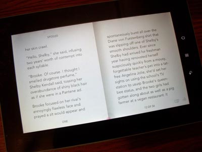 Chapters released its newest addition to its line of e-readers this month, the Kobo Vox Colour
