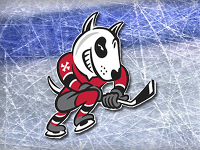 IceDogs Open Up Training Camp This Tuesday