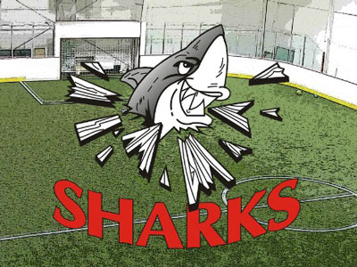 Sharks soccer teams wrap up season at Peterborough regionals